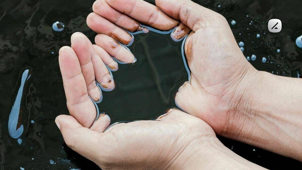منشاء نفت چیست؟ تجمع مواد آلی زیرزمینی — تصویر 3